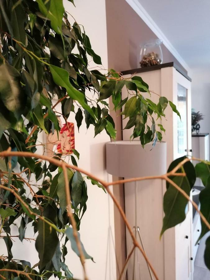 Apartman Luna Šibenik Esterno foto
