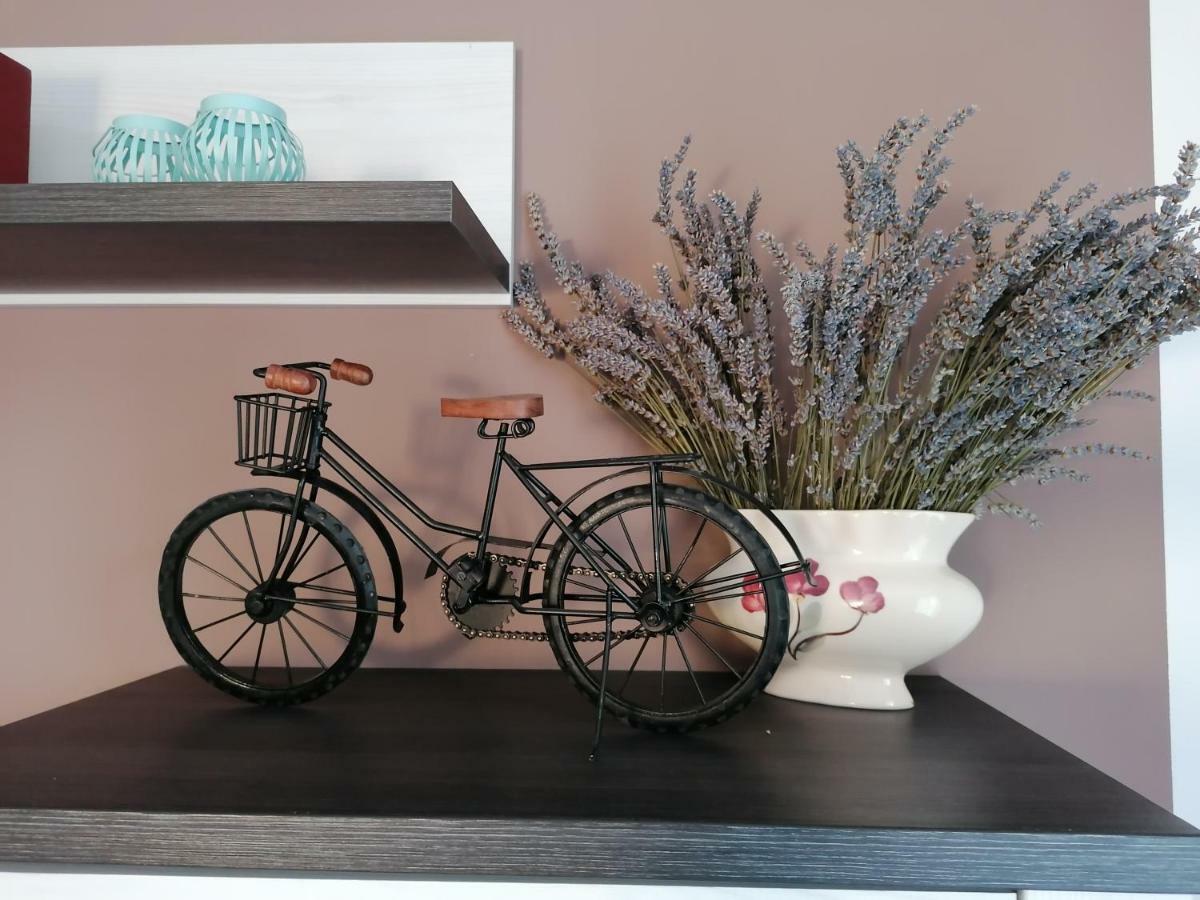 Apartman Luna Šibenik Esterno foto